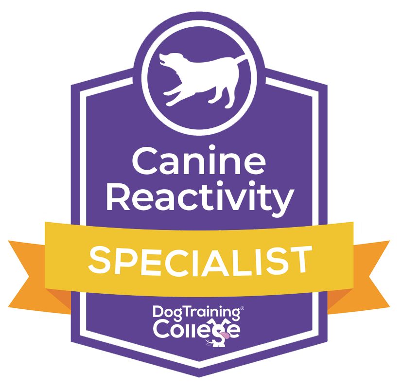 Canine%20reactivity%20Speacialist