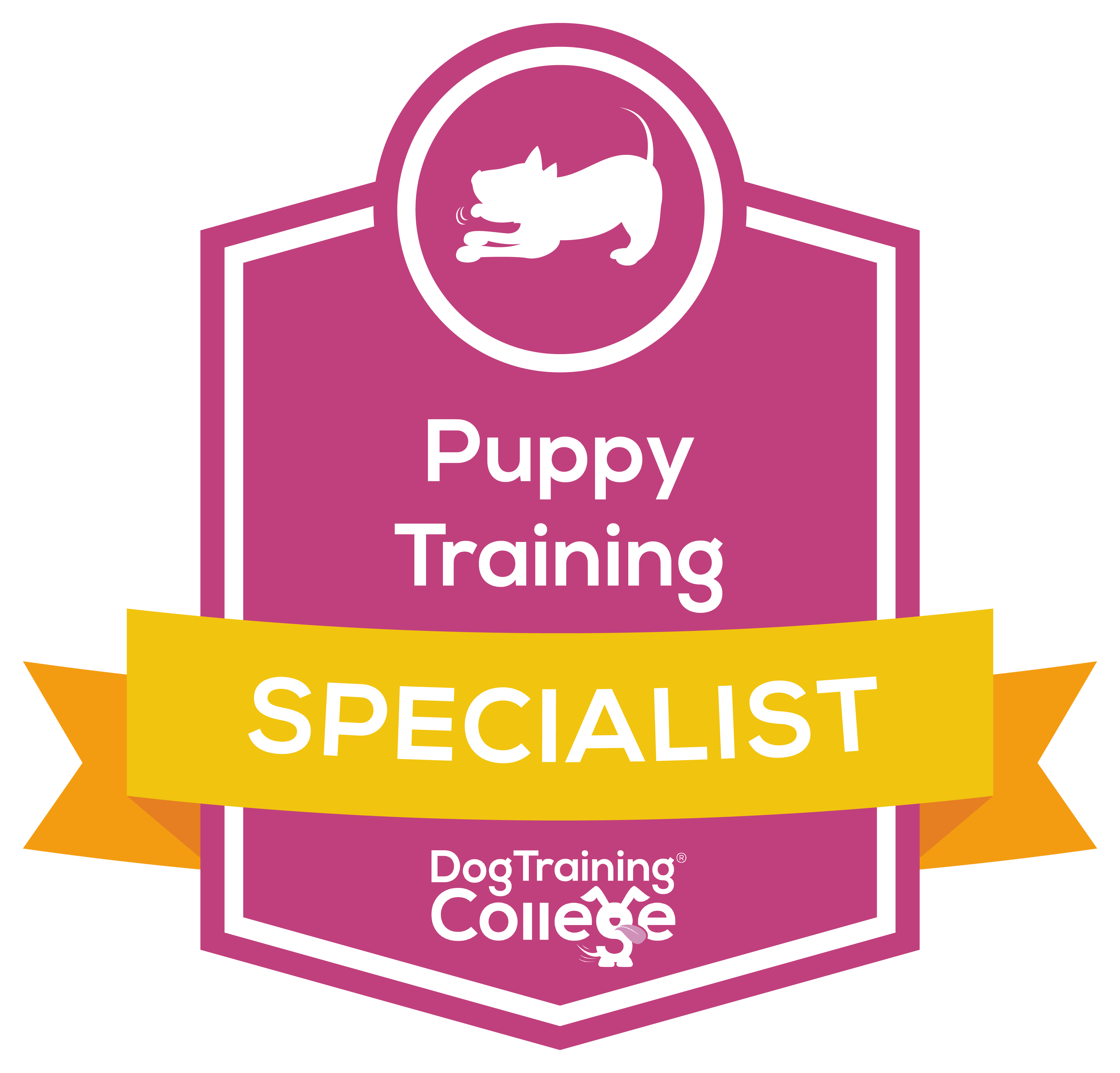 Puppy_Training