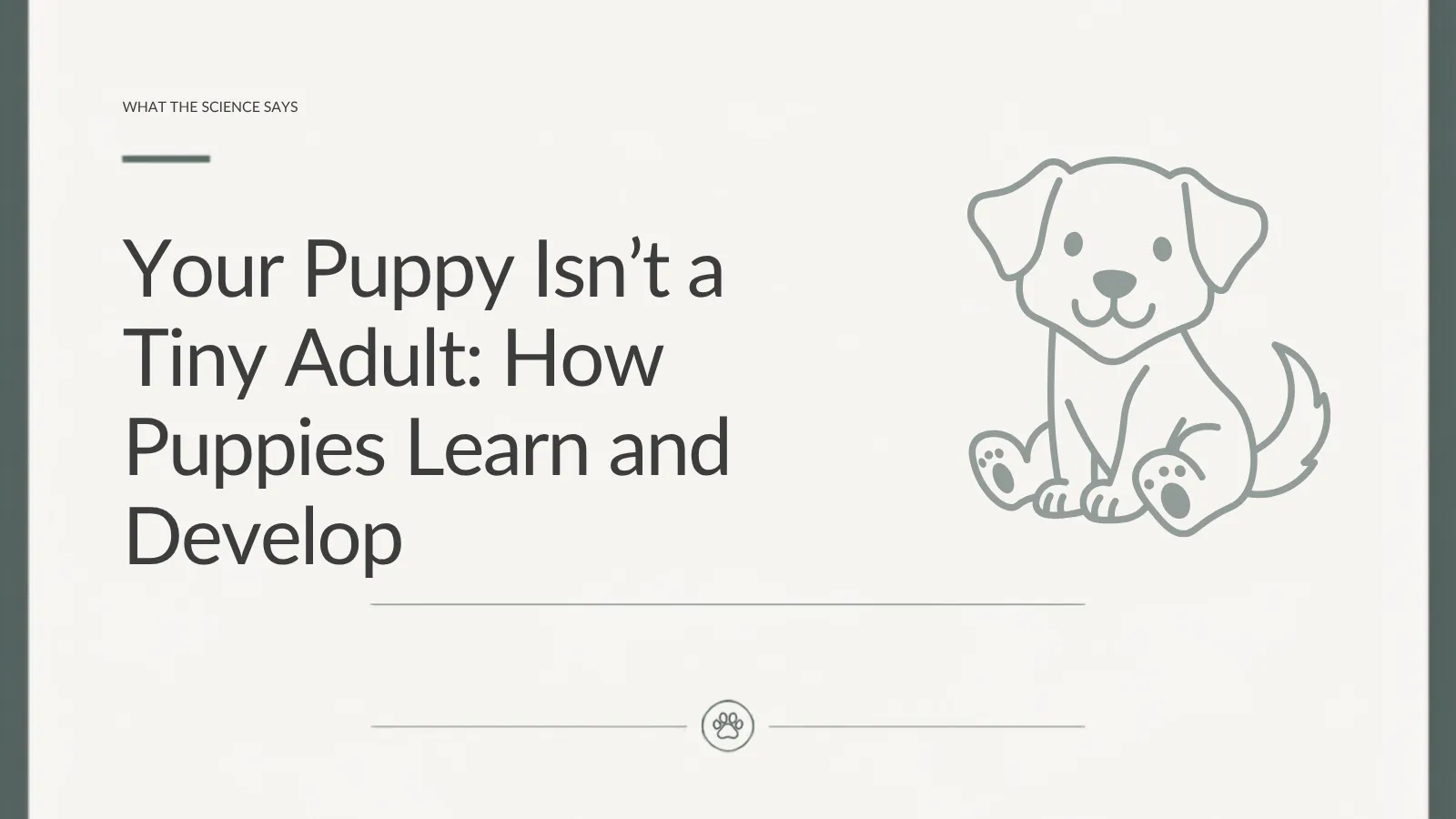 Lupo Academy article about puppy socialisation, confidence and helping puppies experience the world without forced greetings.