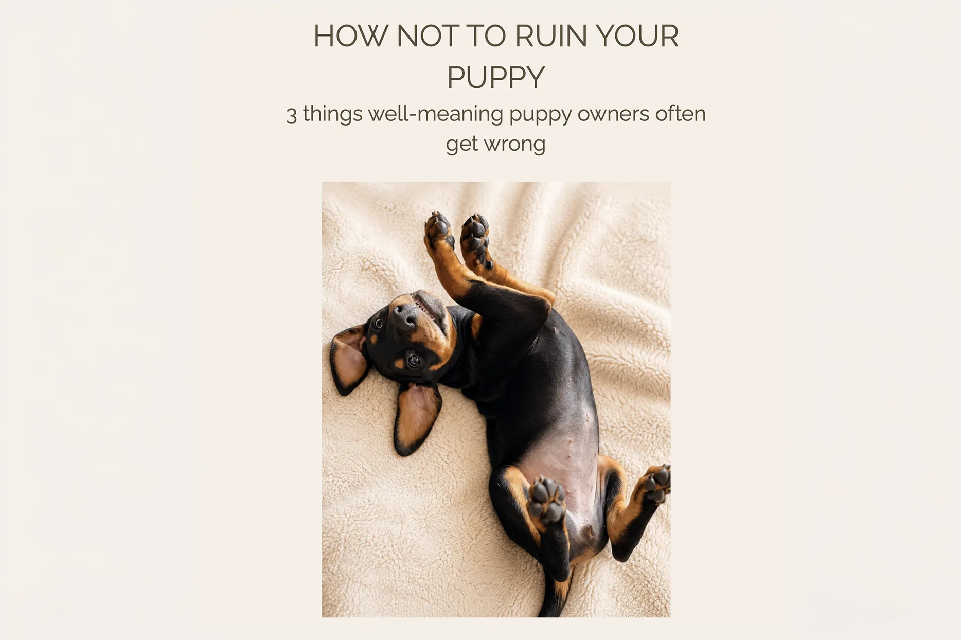 How Not to Ruin Your Puppy free guide with puppy lying on a blanket