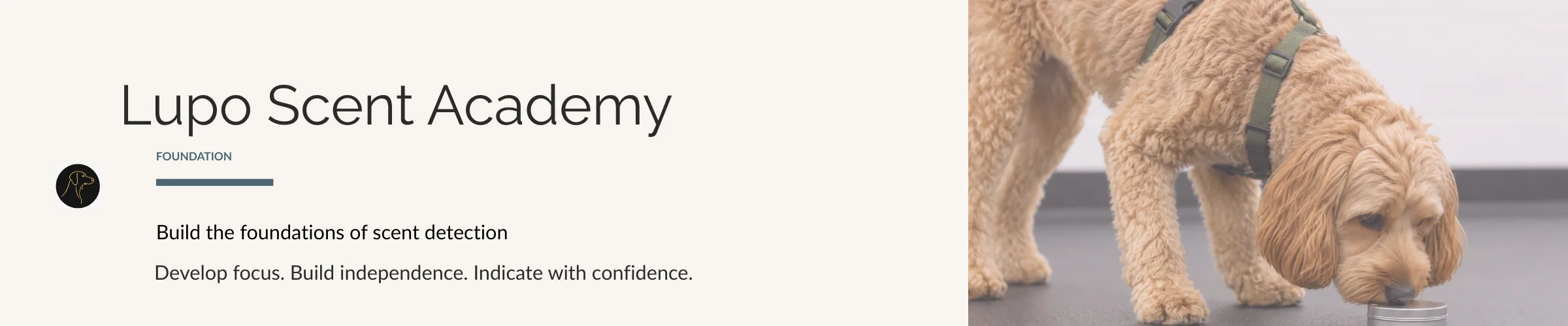 Lupo Scent Academy Foundation course