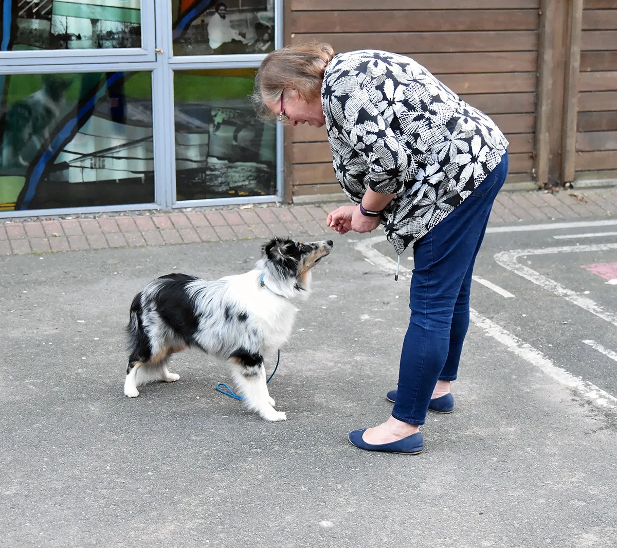 Dog owner working with a small dog during a training session