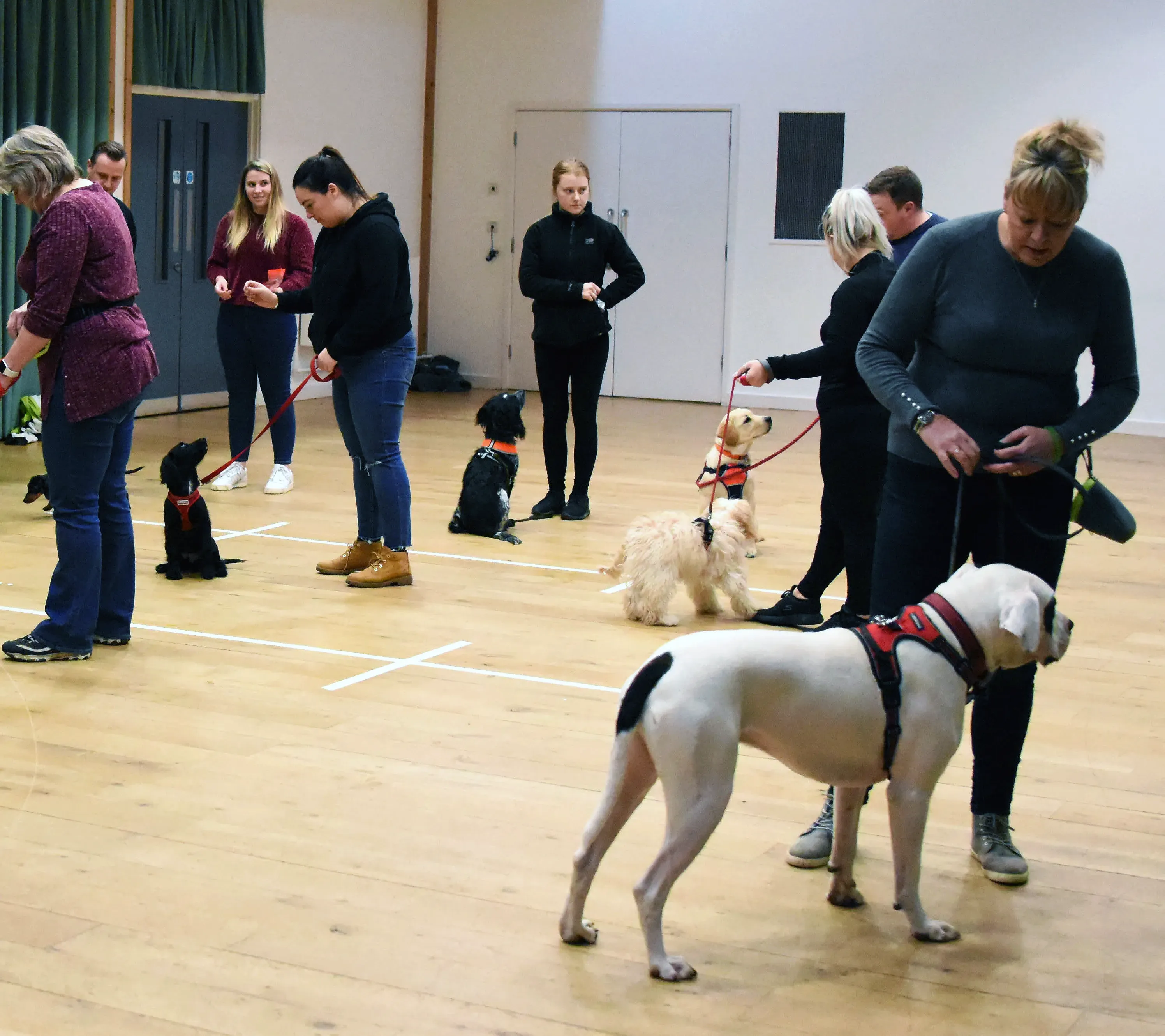 Dog owners practising training exercises with their dogs in a group class