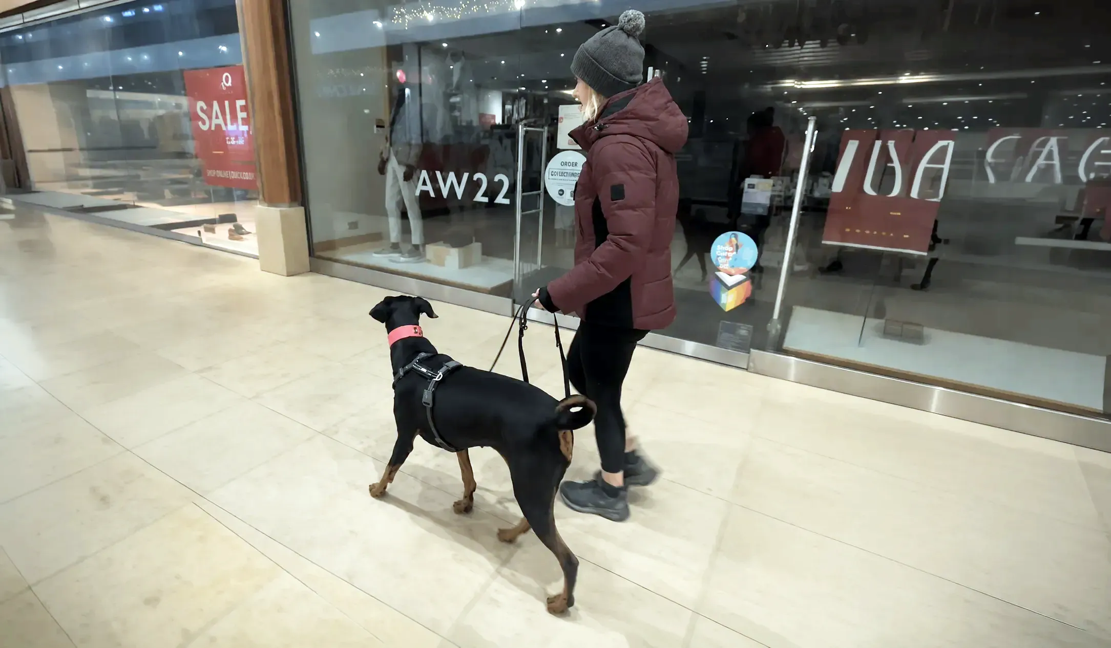 Black and tan dog walking with a handler in a shopping centre during real-world training