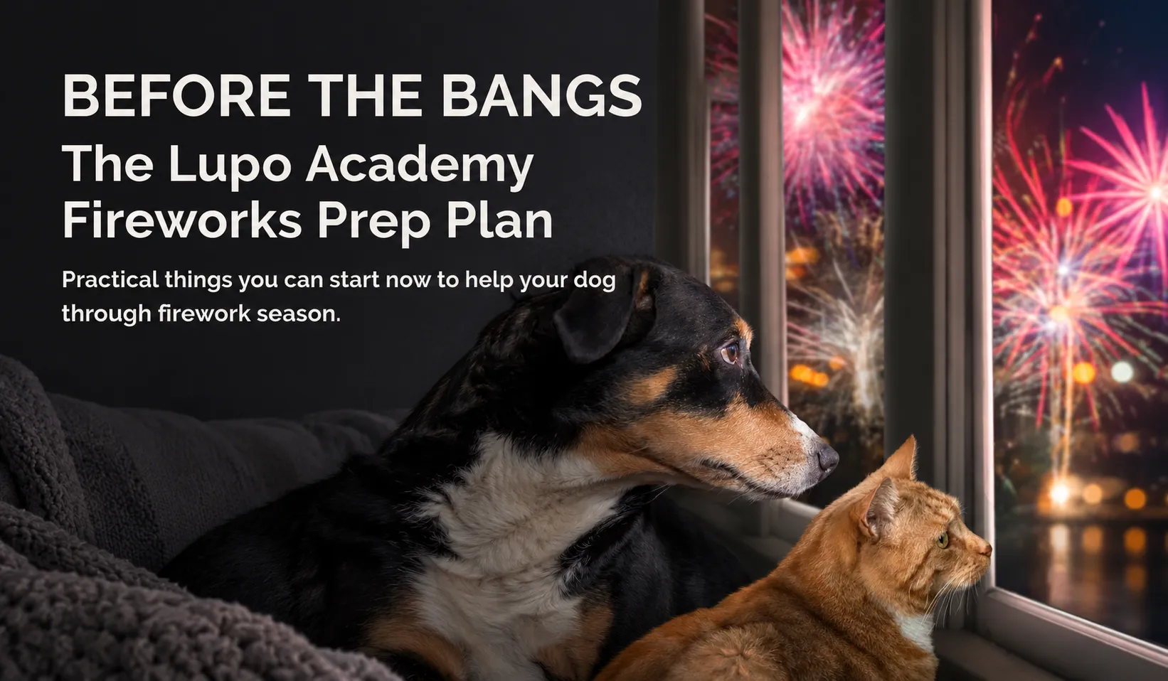 Firework Prep Plan free guide showing a dog and cat watching fireworks through a window