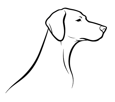 Lupo Academy logo