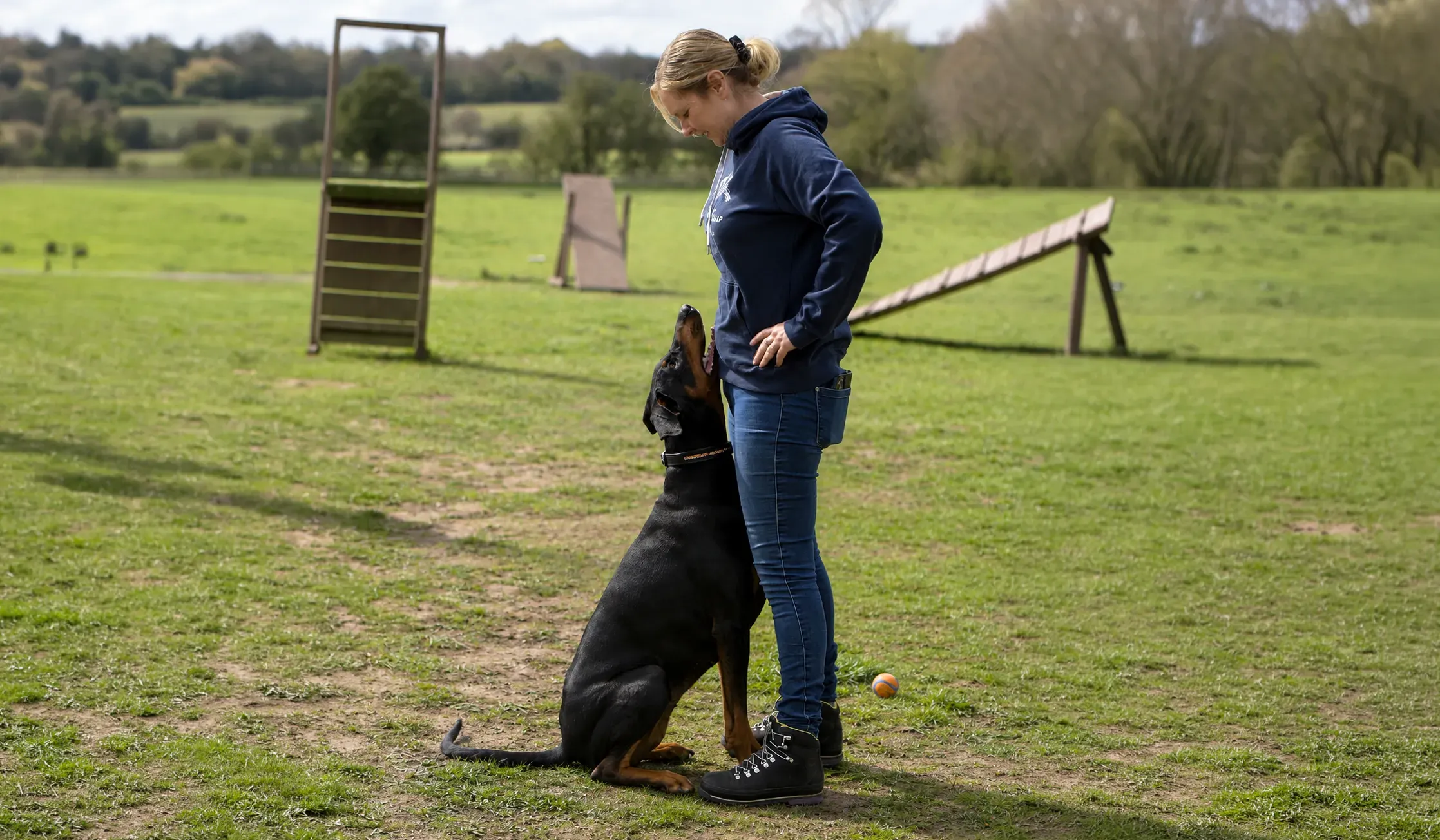 Dog sitting beside a handler during an outdoor training session