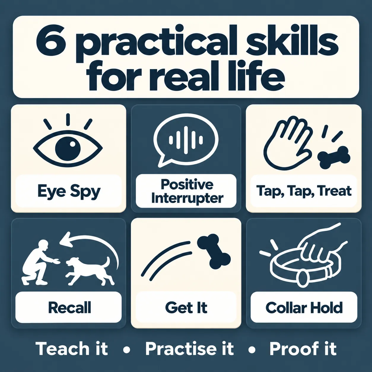 Six Room to Think training skills: Eye Spy, Positive Interrupter, Tap Tap Treat, Recall, Get It and Collar Hold.